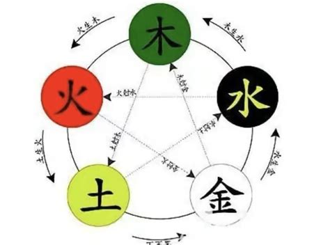 燕五行|燕字五行是什么